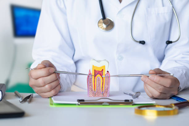 Best Urgent Care for Lost Fillings or Crowns in Breckinridge Center, KY